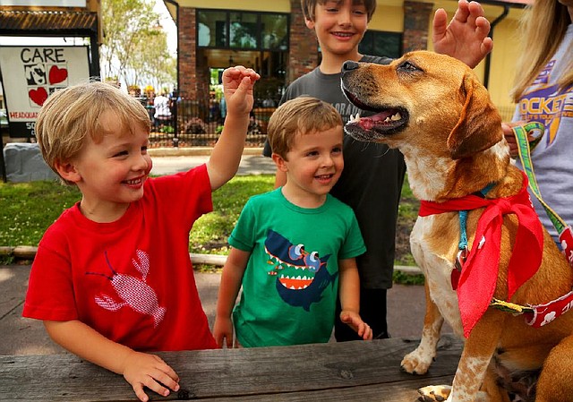 Huntley, 3, (left), Max, 4, and Morgan McGeorge, 9, get to know Jude at Central Arkansas Rescue Effort for Animals.Adoption monitors watch children interact during such visits; if parents don’t correct mistreatment, CARE denies the adoption.