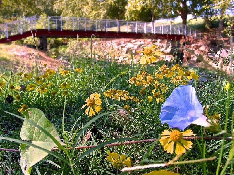 The northern portion of Searcy’s bike/walking trail begins at Berryhill Park along Gin Creek.