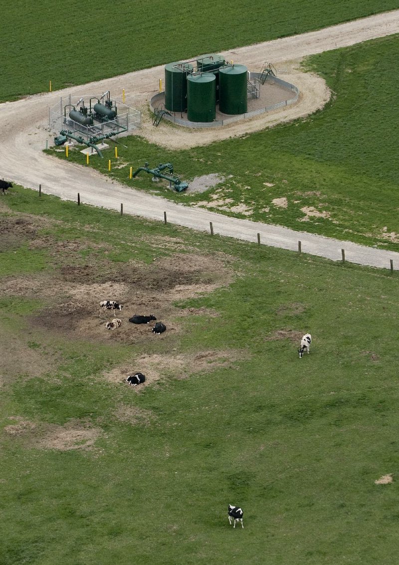 Cows graze near a reclaimed natural gas drilling site with condensate tanks in Washington County, Pa., in this file photo. A Commerce Department decision to change its definition of refined product means more of the oil from U.S. shale formations may be eligible for export.