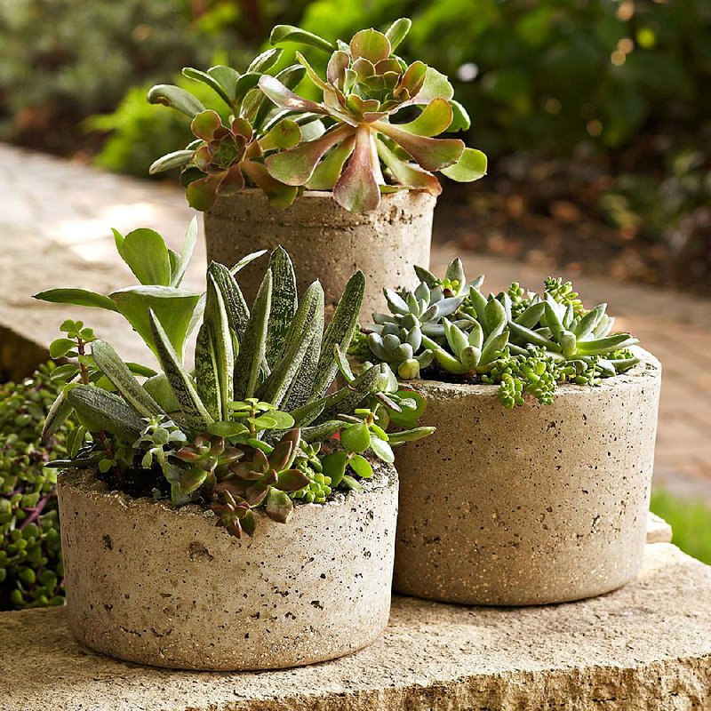 Hypertufa pots photo courtesy of Lowe's.