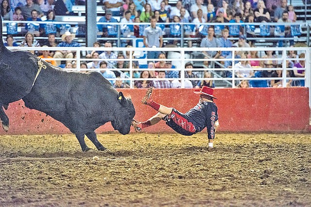  STAFF PHOTO ANTHONY REYES Clay Collins is tossed by &#8220;Panther&#8221; on Wednesday while trying to protect a thrown rider at the Rodeo of the Ozarks at Parsons Stadium in Springdale. Collins is a bullfighter and has been working rodeo&#8217;s for years. This is his last rodeo before retiring from the sport.
