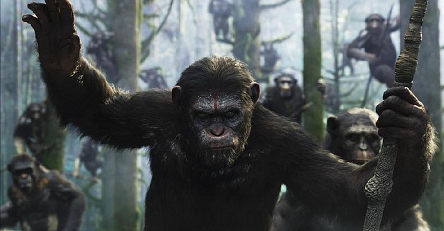 Caesar (a motion capture performance by Andy Serkis) is the genetically enhanced and somewhat reluctant leader of an advanced tribe of apes in Matt Reeves’ science-fi ction thriller Dawn of the Planet of the Apes.