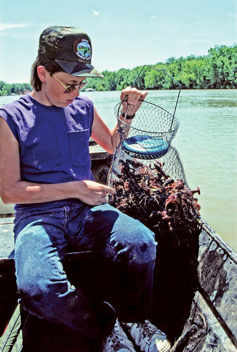 Josh Sutton, Keith Sutton’s son, shows off a wire fish basket full of crawfish caught by hand along the lower White River.