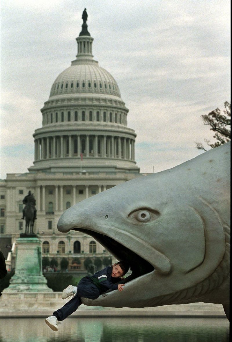 A youngster explores the 9-foot Botafogo sculpture of the White River Monster’s head that’s on display at the state Capitol grounds each October. The actual head is preserved and on display at Jacksonport State Park.