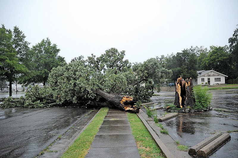 The Sentinel-Record/Mara Kuhn STORM DAMAGE: A large tree blocks the roadway on Fourth Street between Hobson Avenue and Rector Street as heavy thunderstorms rolled through Garland County around 5 p.m. Wednesday.