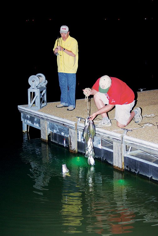Green White 12V Underwater LED Floating Crappie Fishing Light