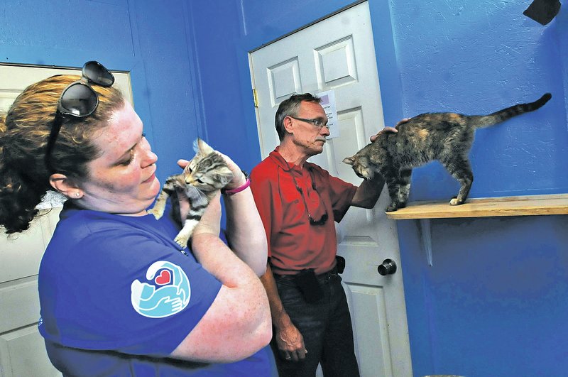 STAFF PHOTO FLIP PUTTHOFF Megan McGovern, left, with the Purina Cat Chow staff, and Bud Norman, animal shelter manager, play with cats Thursday in one of the remodeled rooms for cats at the Rogers Animal Services shelter.