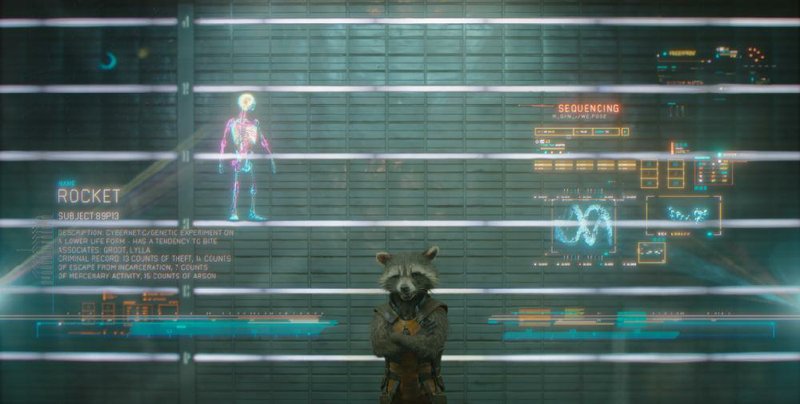 Rocket Raccoon (voice of Bradley Cooper) is a super-intelligent, medium-size, anthropomorphous mammal who carries a gun in James Gunn’s Guardians of the Galaxy.