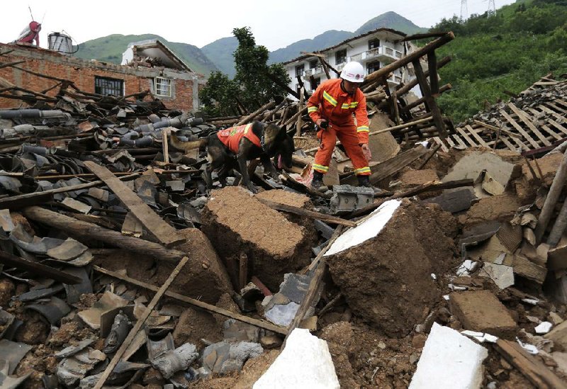 A rescuer uses a sniffer dog to search for survivors Tuesday at a collapsed house after Sunday’s 6.1-magnitude earthquake in the town of Longtoushan in Ludian County in southwest China’s Yunnan province. 