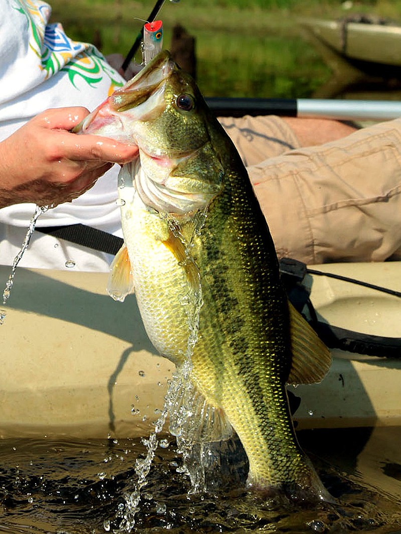 Mercury advisory issued for Lake Ouachita Hot Springs Sentinel Record