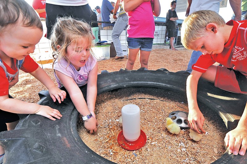 STAFF PHOTO BEN GOFF &#8226; @NWABenGoff Grayson Rhodes, 1, from left, of Bella Vista, Makaela Mayer, 4, of Bentonville, and Parker Kelley, 7, of Rogers play Tuesday with chicks in the petting zoo at the Benton County Fair near Bentonville.