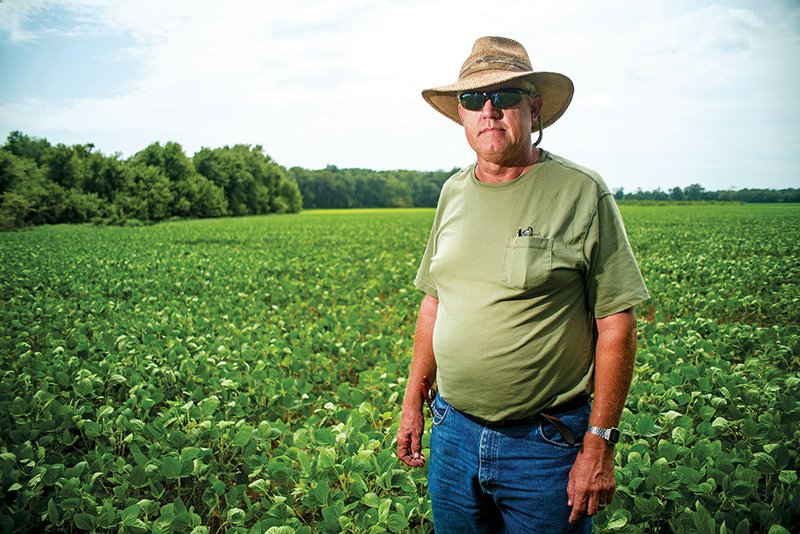 R.J. Peacock, a farmer who cultivates 1,600 acres near Russell, stands in a field of soybeans that are several weeks behind in growth because of recent cool, wet weather. He has lost about 60 acres of crops because fields have been underwater.
