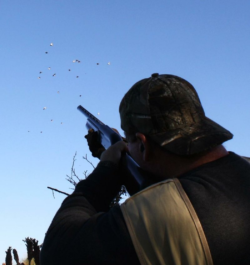 Arkansas Democrat-Gazette/BRYAN HENDRICKS
The swift appearance of a dove flock can confuse and unnerve inexperienced shooters. Shoot the lead bird first and work your way backwards.
