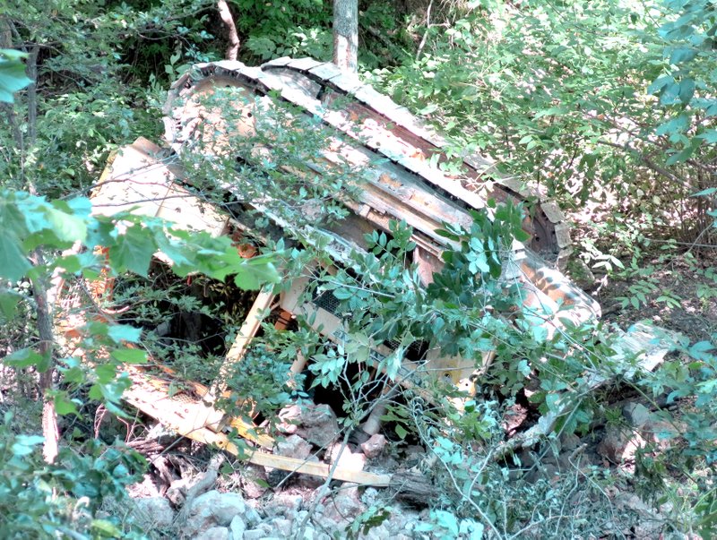 Photo by Mike Eckels A bulldozer rests upside down against a tree after rolling down a steep embankment Aug. 13, about one mile north of Rothwell Road in Decatur. Charles Hudson was pushing a rock down the hill when the soil underneath the machine gave way causing Hudson and his eight-ton Caterpillar to roll two and one-half times.