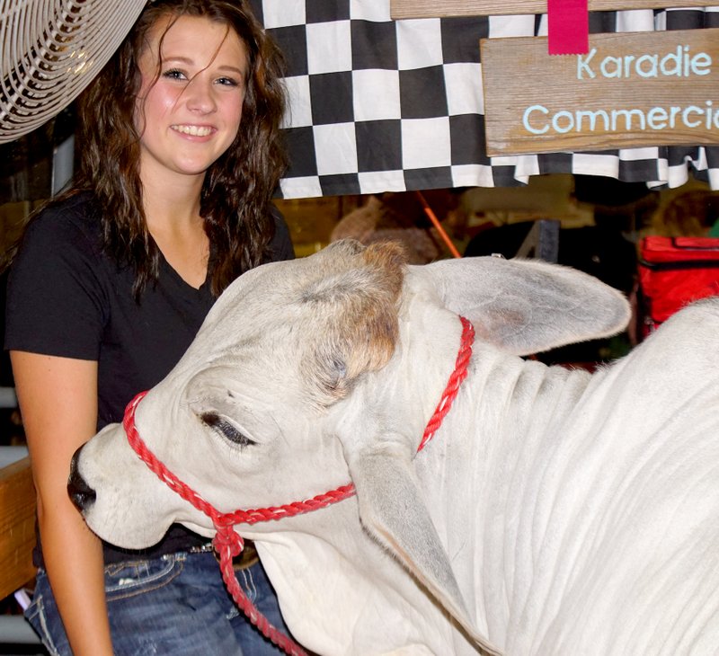 Photo by Randy Moll Karadie Ory, 14, of Gentry, spends time with her Brahman commercial heifer at the Benton County Fair on Saturday. For more fair photos, see Page 8A.