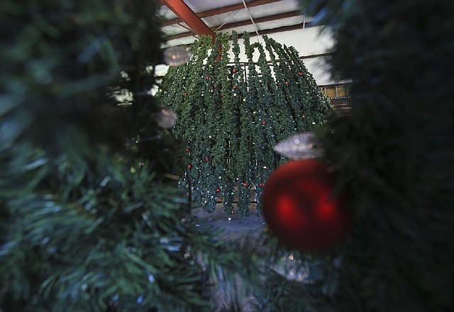  Arkansas Democrat-Gazette/STATON BREIDENTHAL --8/20/14-- The Conway Christmas tree that malfunctioned throughout last year’s holidays sits  in storage at the Conway Expo Center Thursday afternoon after the company that sold the city the giant tree went out of business and never repaired the tree.