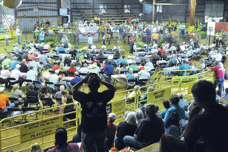 STAFF PHOTO Michael Woods &#8226; @NWAMICHAELW Spectators and buyers watch the parade of animals Thursday during the auction.