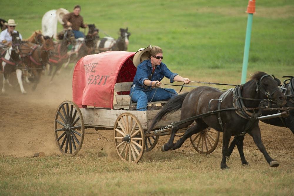 The National Championship Chuckwagon Races | The Arkansas Democrat ...