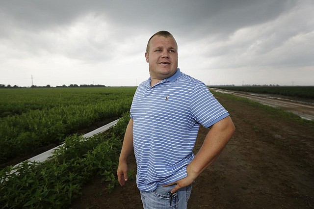 Arkansas farmer Seth Towles is growing 160 acres of sesame near Lake City. He says sesame costs less and is much easier to grow than cotton.