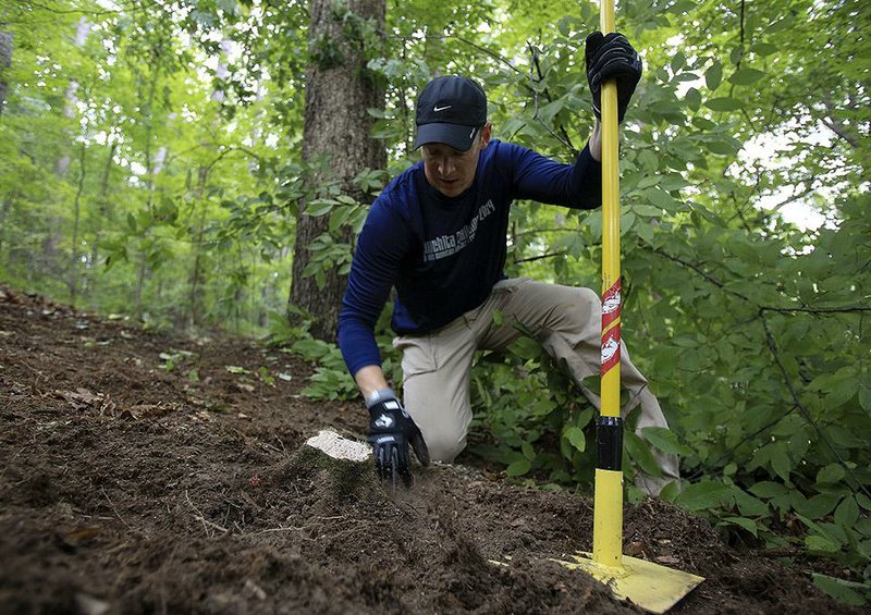 Kurt Stonebraker removes a stump Saturday morning in Little Rock’s Boyle Park, where volunteers were clearing trails ahead of next month’s Big Rock Mountain Bike Festival.