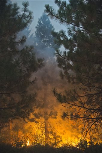 Fire burns through tall trees near Uncle Tom's Cabin in El Dorado County on Thursday, Sept. 18, 2014. The King fire has burned over 70,000 acres. The wind-whipped fire burned through 114 square miles and was 10 percent contained, according to California Department of Forestry and Fire Protection. 