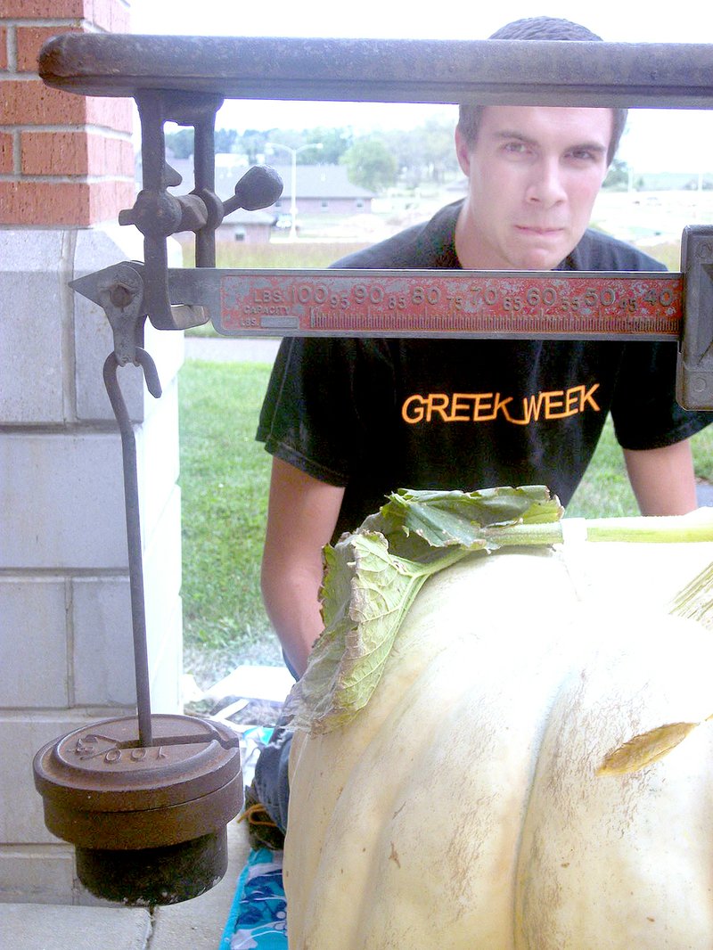 COURTESY PHOTO BY LESLIE AKERS Logan Duncan, a Missouri State graduate student in agriculture working with Dr. Chin-Feng Hwang on pumpkin and squash breeding, weighs a large specimen from his research trial. He is hopes to breed resistance to the squash vine borer into pumpkin cultivars.