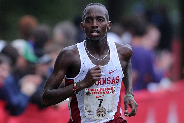 Arkansas' Stanley Kebenei approaches the finish line during the the 25th annual Chile Pepper Cross County Festival Saturday, Oct. 5, 2013, at the University of Arkansas Cross County course located on the UA Agriculture Farm in Fayetteville. 