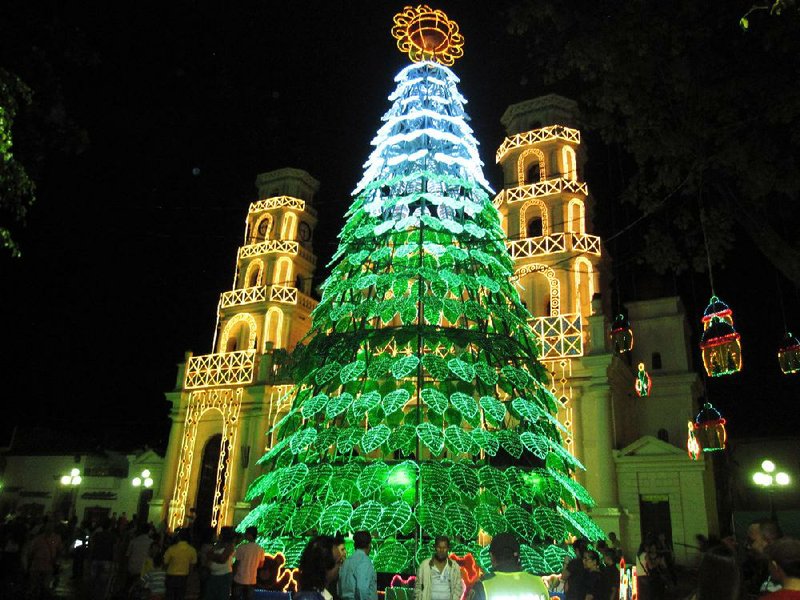 The Harpaz family visited a church in Medellin, Colombia, which was famous for its Christmas lights. A private guide drove them around the city to find the best light displays. Private tours are no longer the exclusive domain of wealthy travelers, as websites make it easy for tourists and local guides to connect.