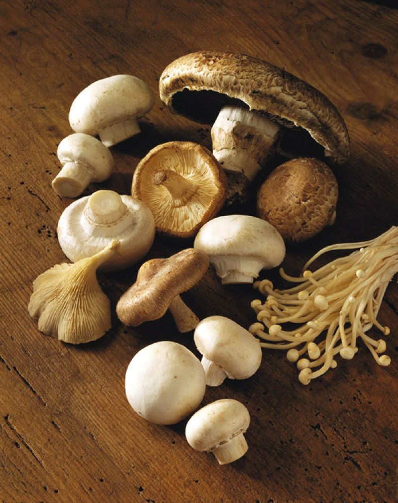 Assorted mushrooms (clockwise from top center): portobello, crimini, enoki, white button, shiitake and oyster.