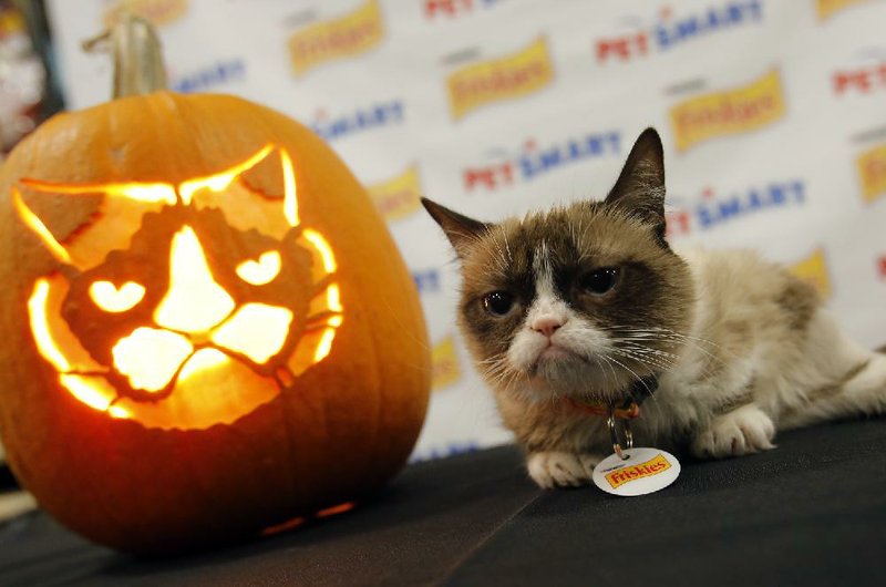 IMAGE DISTRIBUTED FOR FRISKIES - Friskies official spokescat, Grumpy Cat, comes face-to-face with the first-ever Grump-O-Lantern to kick off a Halloween promotion with PetSmart. Famed sculptor Ray Villafane <http://www.YouTube.com/PetSmart> carved the pumpkin for the meet-up at a PetSmart store in Surprise, AZ on Thursday, October 2. Fans can download the exclusive Friskies stencil at www.PetSmart.com/Friskies <http://www.PetSmart.com/Friskies> and share their own Grump-O-Lantern photos using #Grumpkin.  (Rick Scuteri/AP Images for Friskies) 