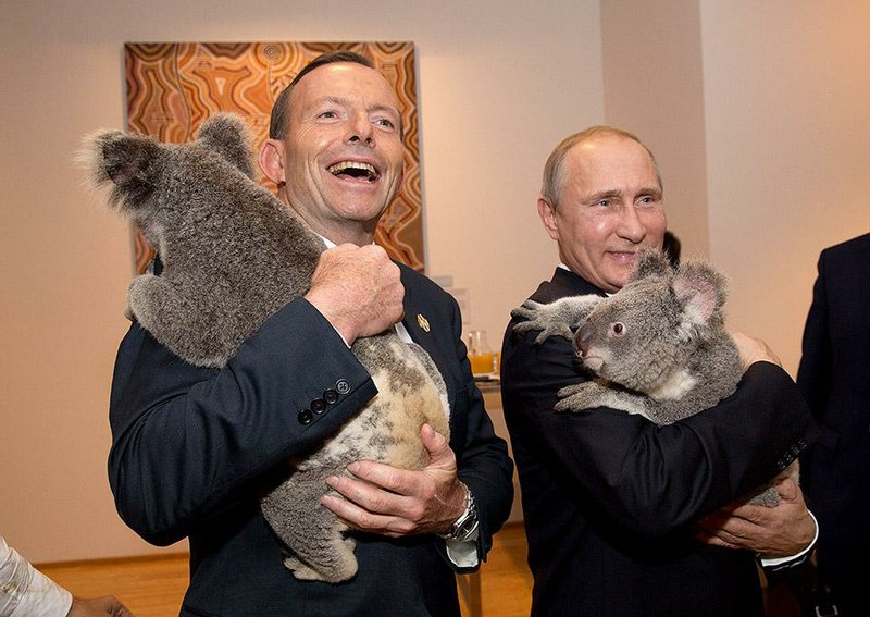 Australian Prime Minister Tony Abbott (left) and Russian President Vladimir Putin cuddle with koalas Saturday during a break in economic talks in Brisbane, Australia. 