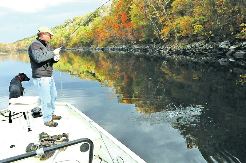 STAFF PHOTO FLIP PUTTHOFF Rainbow trout are eager to bite for Phil Lilley of Branson, Mo., while he fishes Oct. 30 beside his dog, Jackson, at Lake Taneycomo. Trout hit a variety of flies on the upstream section of the lake.