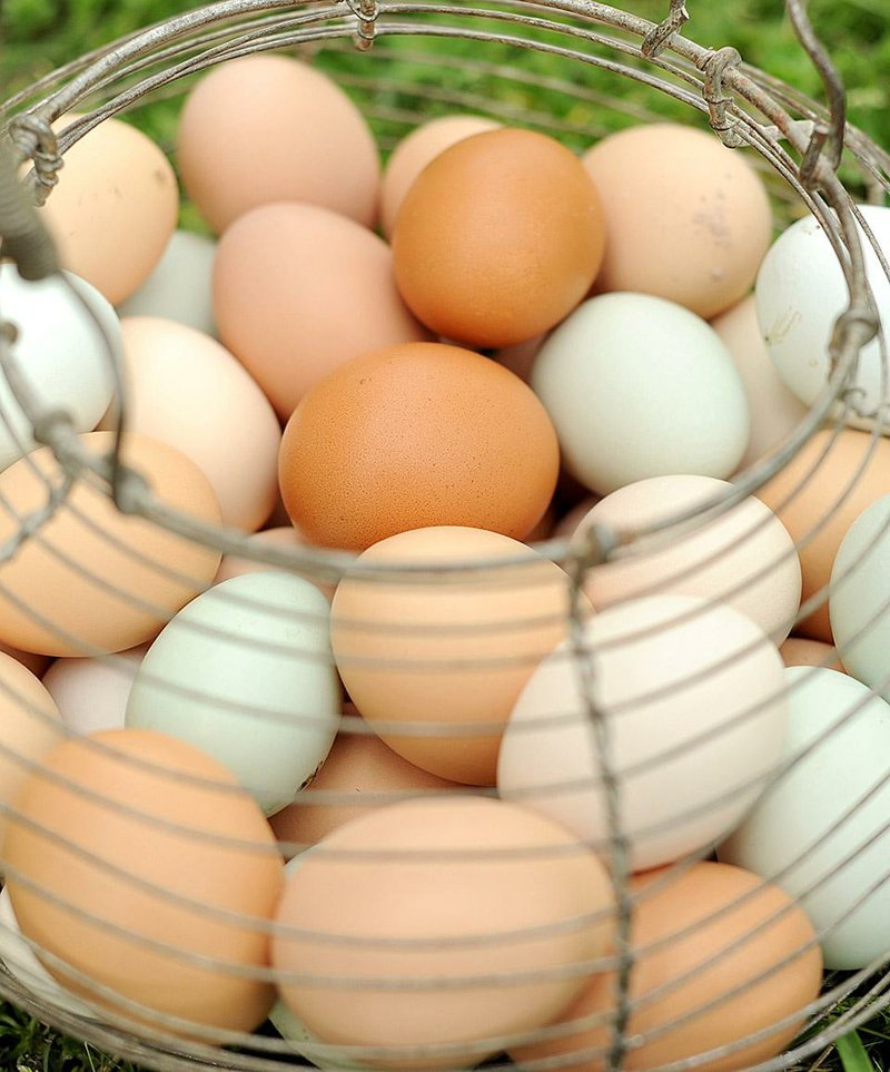 STAFF PHOTO ANDY SHUPE
Chicken eggs sit Thursday, April 12, 2012, in a wire basket at Green Fork Farm near Farmington.