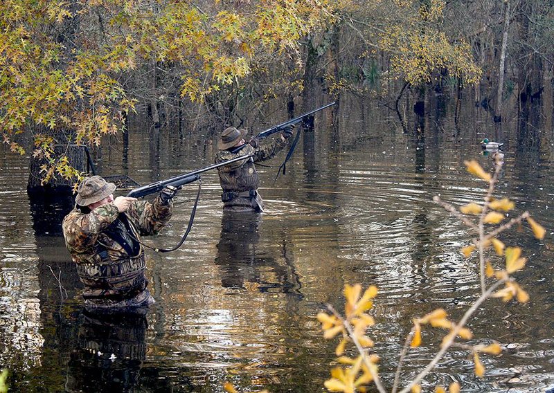 Dr. Lester Sitzes(left)and Randy Bobo fire on a flock of ducks at Moccasin Bayou near Garland City in Miller County.