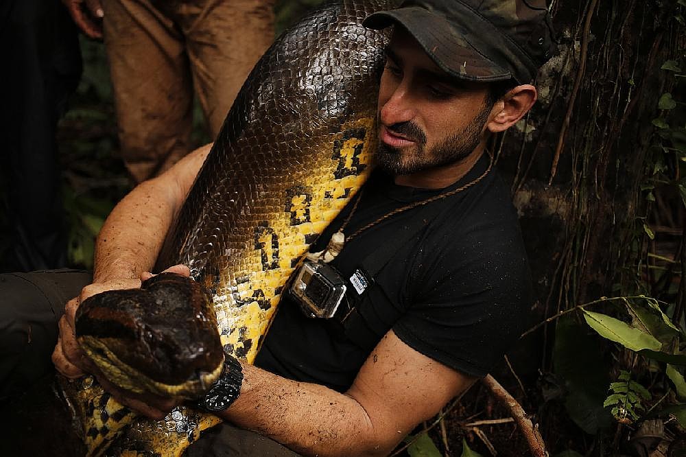 Snake act too much to swallow | The Arkansas Democrat-Gazette ...