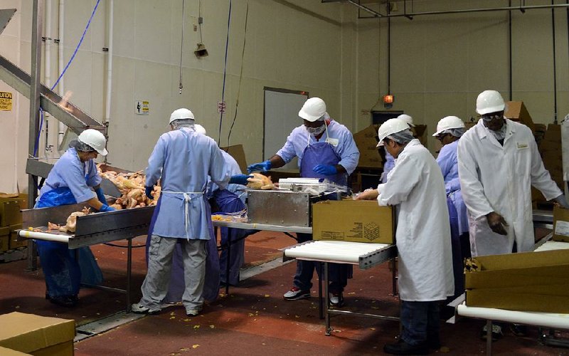 Workers process chickens in Hillstern Farms’ Arkadelphia facility. The company reopened the former Petit Jean plant in October, employs about 40 people and is expected to grow. 