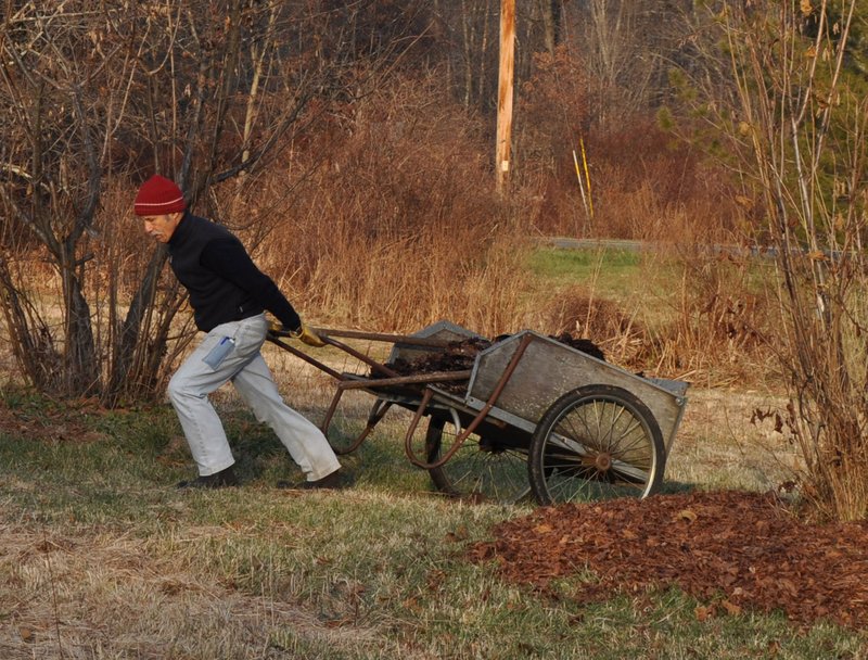 Carting leaves to spread beneath trees and shrubs offers many benefits from a perspective of soil, plants, and — because weeds are suppressed — also gardeners.