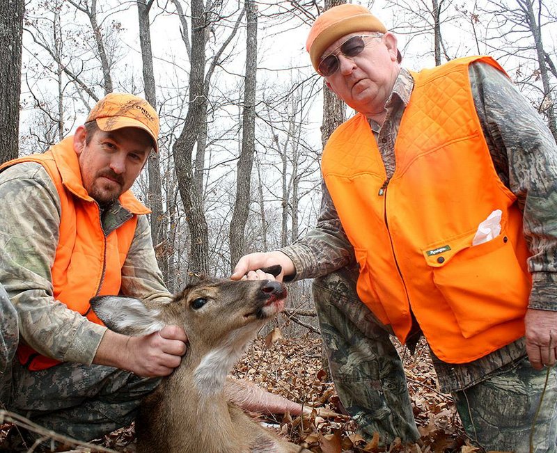 Darryl Brotemarkle (left) and Jim Brotemarkle, both of Paragould, worked up a sweat dragging this doe out of a deep hollow Monday during the controlled modern gun deer hunt at Harold E. Alexander Wildlife Management area in Sharp County. 