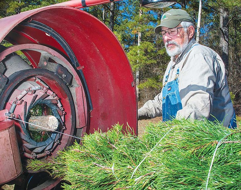 Harold McAlpine uses a machine that runs behind his tractor and pulls the trees through and runs twine to bundle them for transport on his Christmas tree farm in Bismarck.