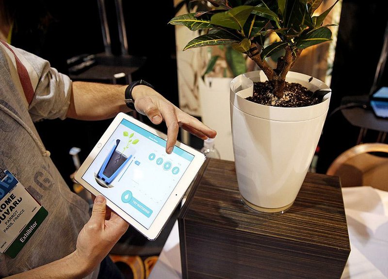 FILE - In this Jan. 4, 2015 file photo, Jerome Bouvard demonstrates the Parrot Pot at CES Unveiled, a media preview event for CES International, in Las Vegas. The pot is linked to mobile devices and will automatically water your plant. (AP Photo/John Locher, File)