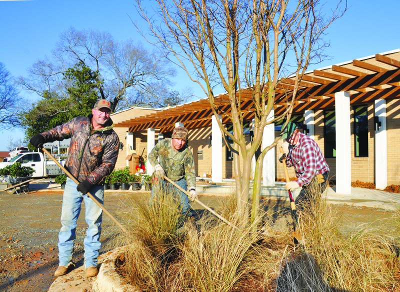 Library landscaping Camden News
