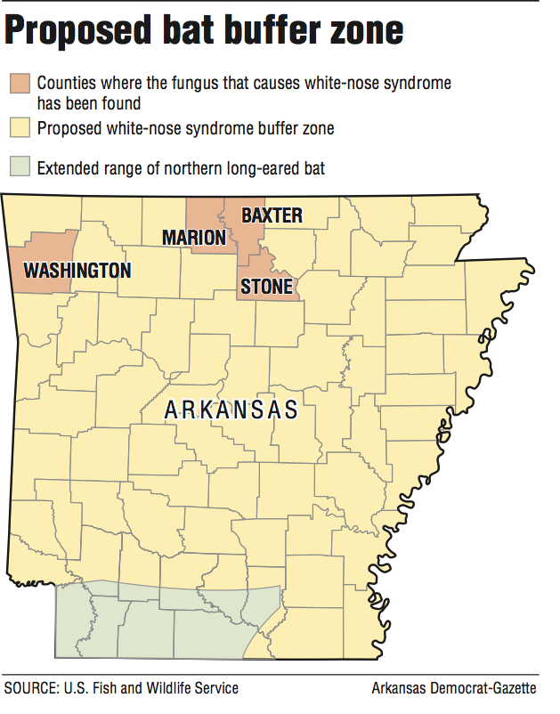 Agency offers less restrictive way to protect bat's habitat