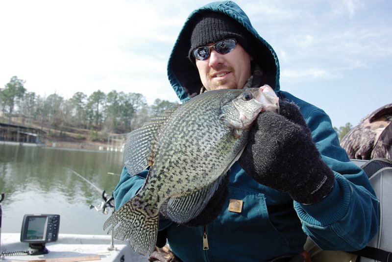 Catching trophy-sized winter crappie, like this Lake Greeson slab caught by Josh Sutton of Wynne, may require the angler to experiment with different methods for slowing a lure’s descent, such as increasing the size of line being used.