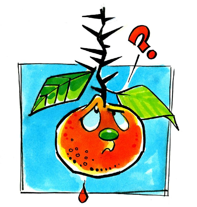 Arkansas Democrat-Gazette thorny orange illustration.