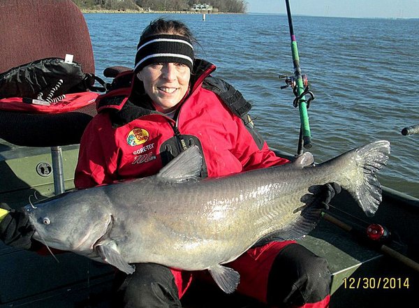 800 lbs of big blues in the boat! Live Winter Trophy Catfishing. Breaking  records! 