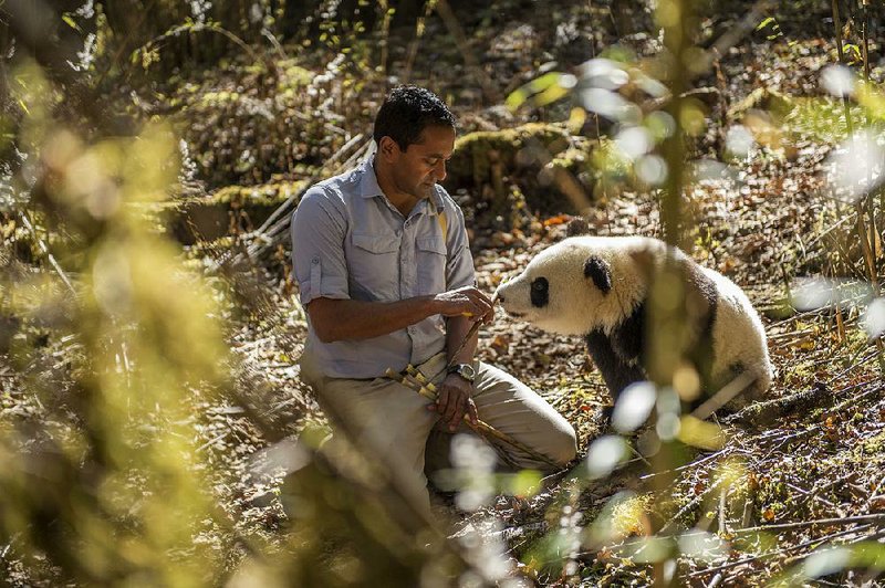 Conservationist M. Sanjayan is the host of a new five-part PBS television series Earth â€“ A New Wild, produced in part by National Geographic Television. The series debuts at 8 p.m. Feb. 4 on AETN, but viewers donâ€™t have to wait that long for a sneak peek â€” and a chance to chat with the host.

