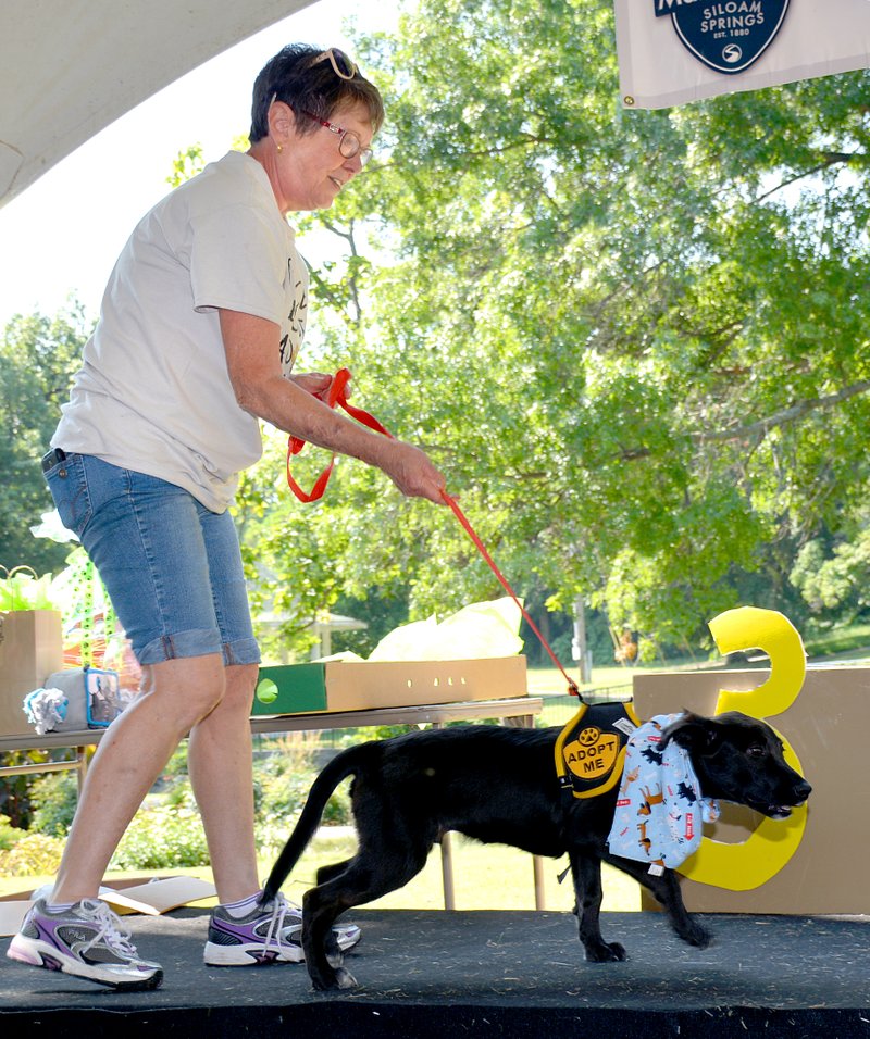 Janelle Jessen/Herald-Leader A Tailwaggers volunteer walked a puppy, up for adoption, across the stage at the 2014 Dog Days of Summer event held in Twin Springs Park last August. Last year Tailwaggers found new homes for 267 dogs and cats.