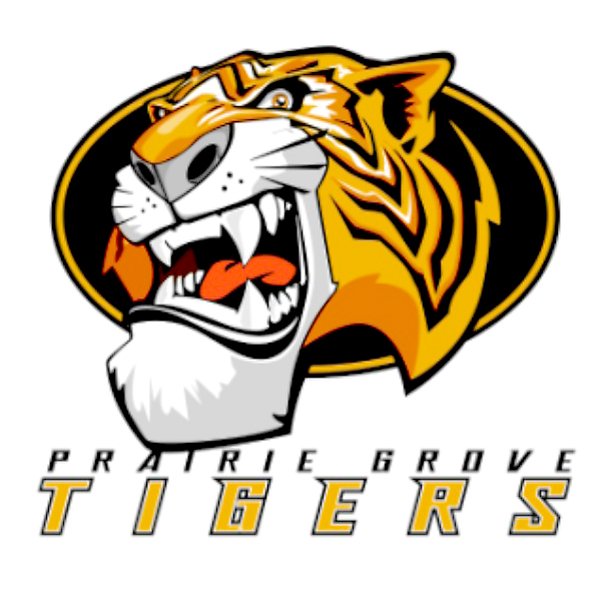 COURTESY This Tiger graphic will be changed somewhat based on comments at last week&#8217;s Prairie Grove School Board meeting. The graphic will go in the center of the new gym floor.