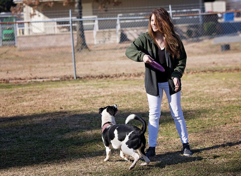 McKenzie Cavin throws a frisbee for her dog, Abbie, at the Four Paws Dog Park on Hyman Road in Maumelle. Cavin said she and Abbie visit the dog park twice a week. The roughly 1-acre lot, owned by the Maumelle Water Management, is rented for $1 a year by Maumelle Friends of the Animals. However, the president of the Friends group said it is not the nonprofit organization’s park, and the group’s funds go toward medicine and veterinary care for the dogs at the city shelter and can’t be used for major upgrades to the dog park.