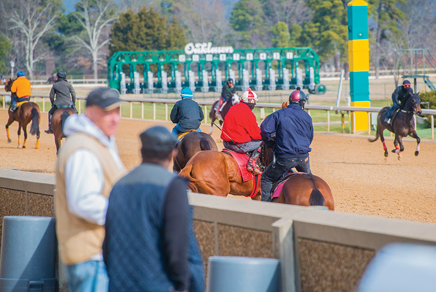 Oaklawn opens 111th season with new entrance, free general admission